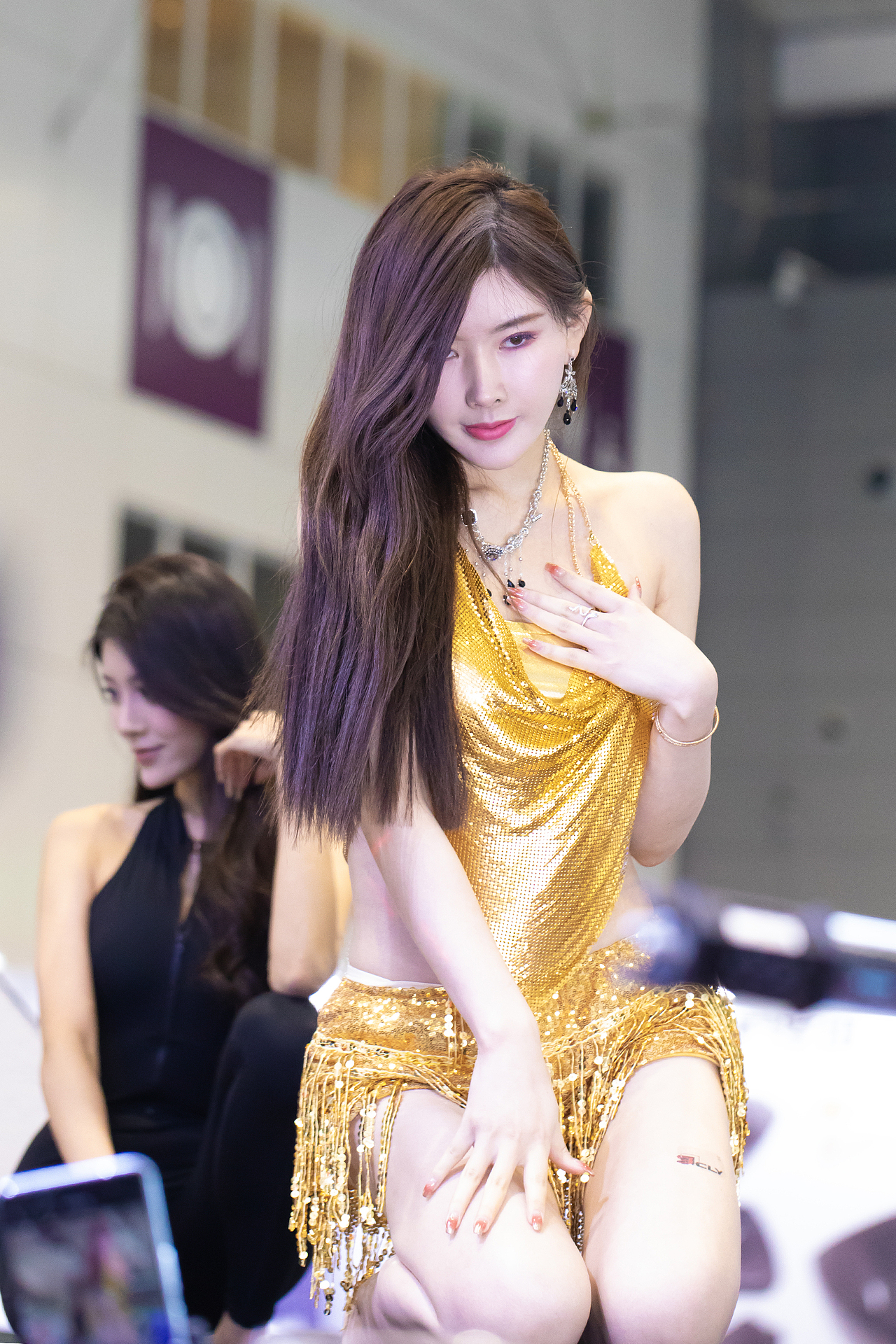 深圳组装车展-车模