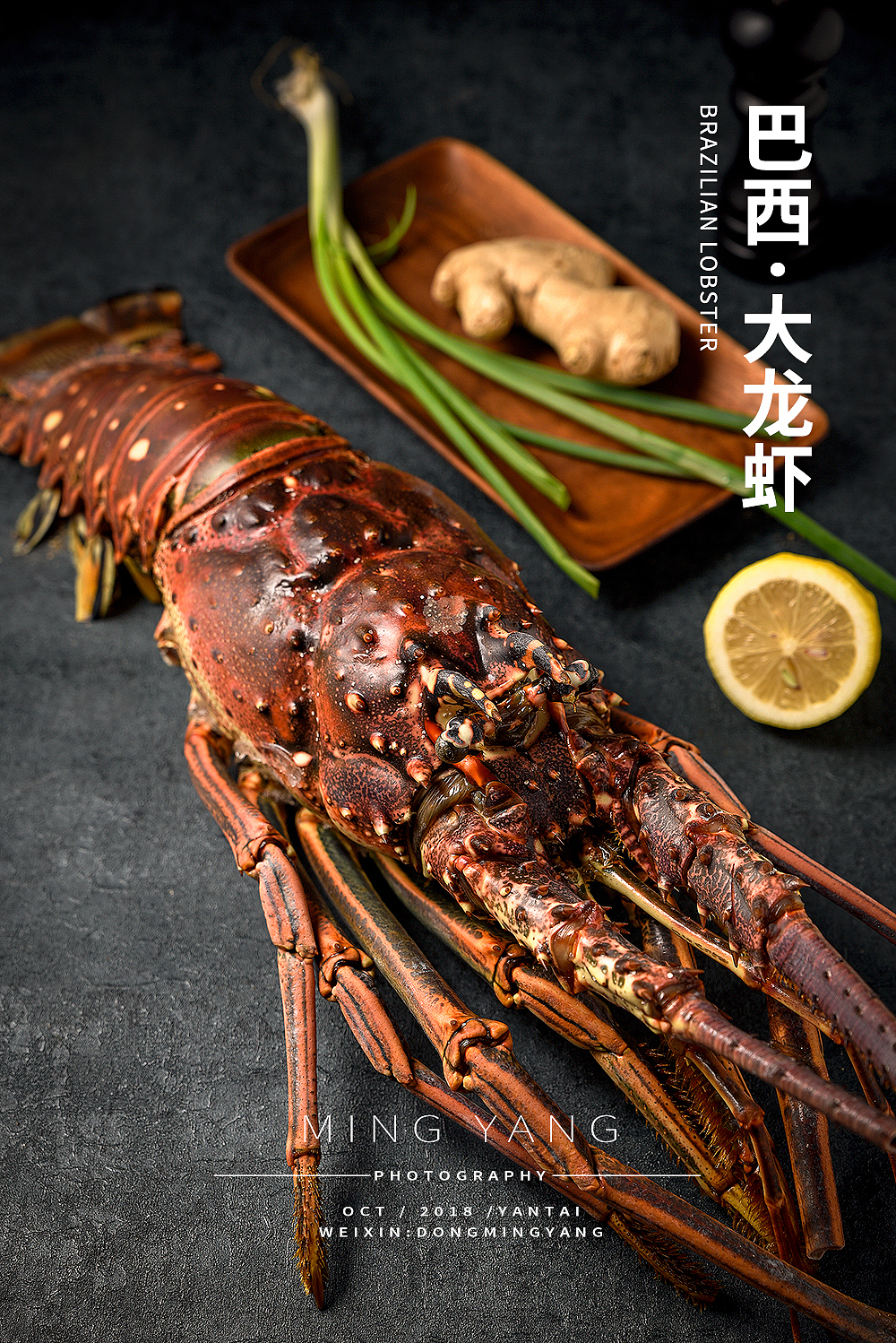 巴西大龙虾