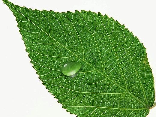 监希UI课的第一课,临摹三十二关第一关-水滴