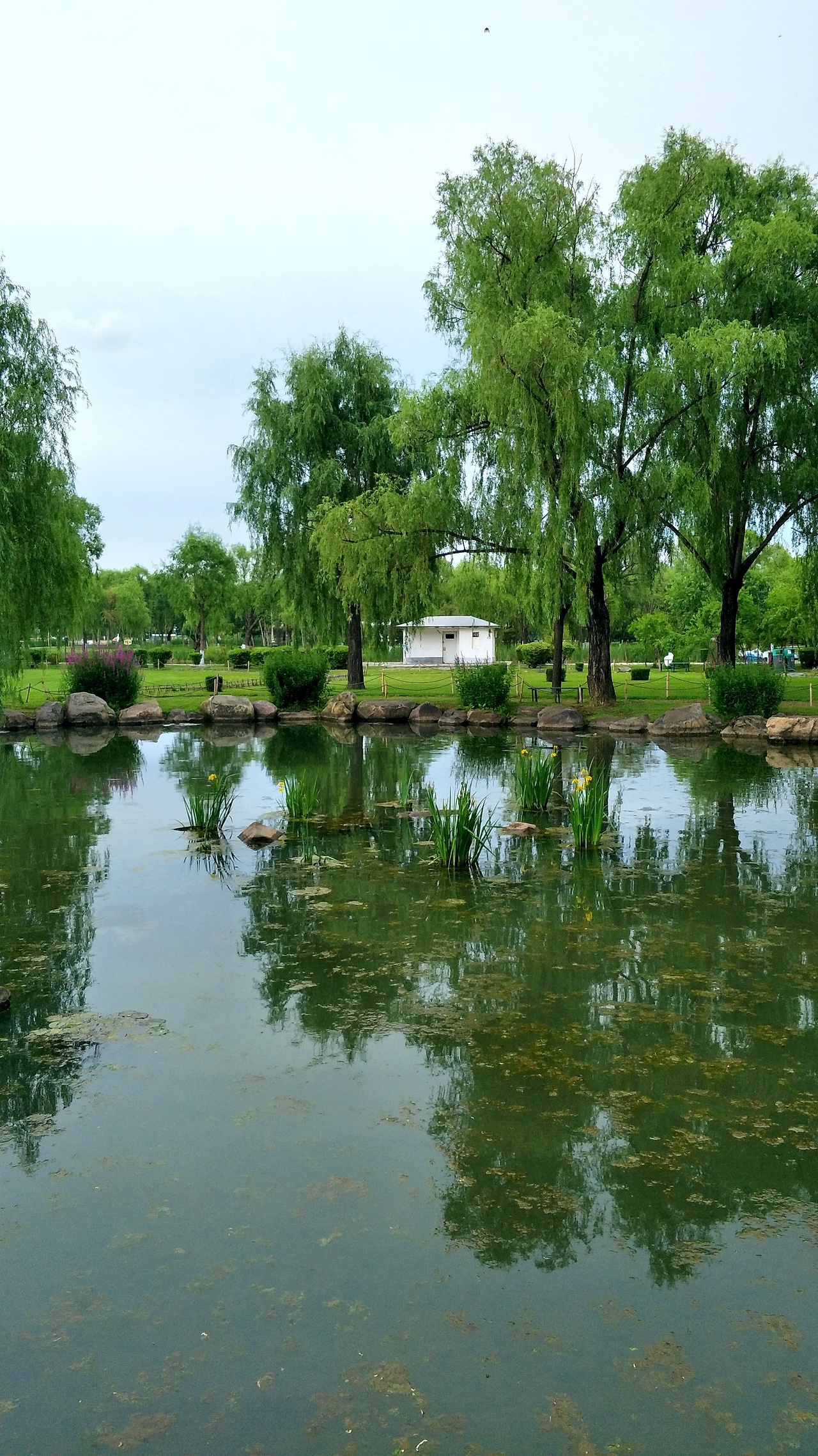 太阳岛|摄影|风光摄影|章小九gg_原创作品-站酷zcool