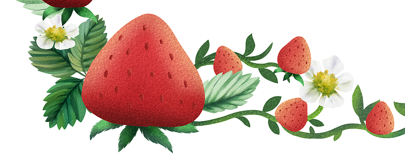 清新水果年货包装