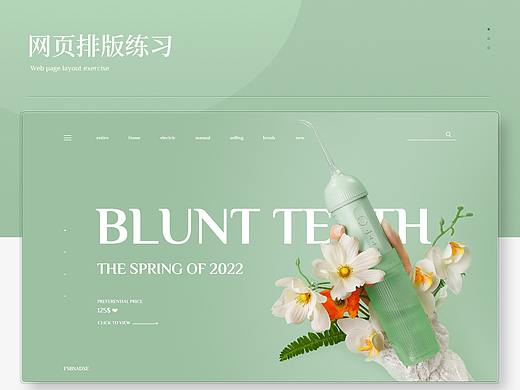 冲牙器/电动牙刷 电商网页设计