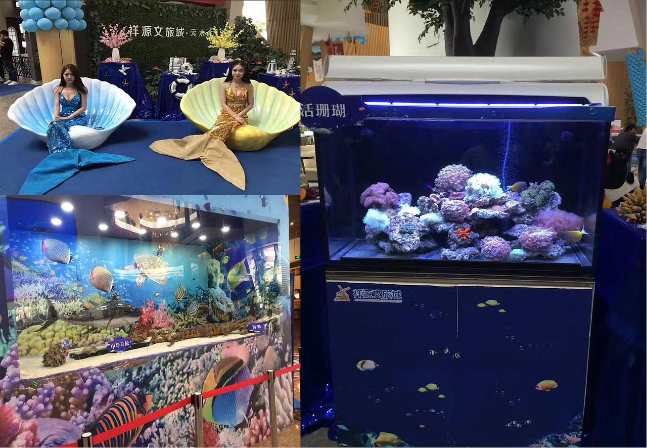 2017阜阳XXX海洋梦幻季活动执行方案-烽策网