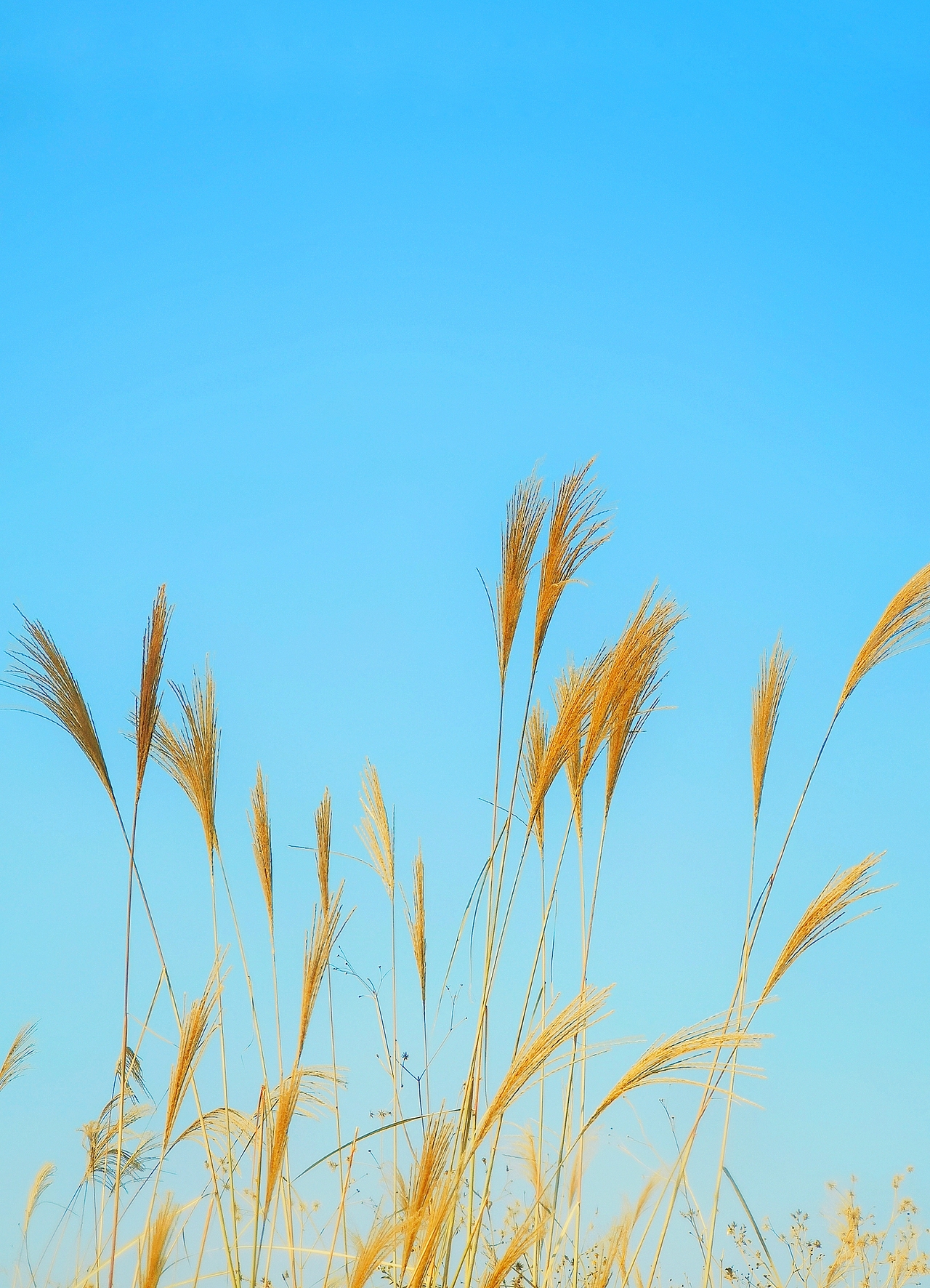 2019的一些照片（图ZMTkxODA2Nzc2） - 人文/纪实摄影 - 站酷设计师当年时光原创素材 - 站酷ZCOOL