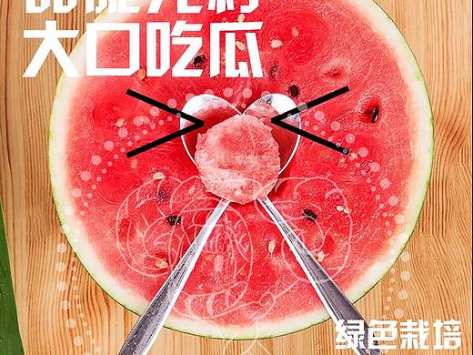鼠瓜