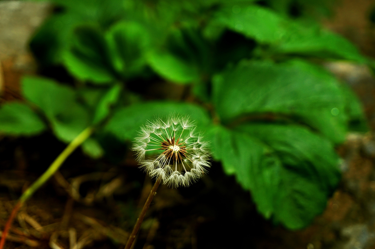 风景（图ZNDg3OTUwODg=） - 风光摄影 - 站酷设计师加糖加糖原创素材 - 站酷ZCOOL