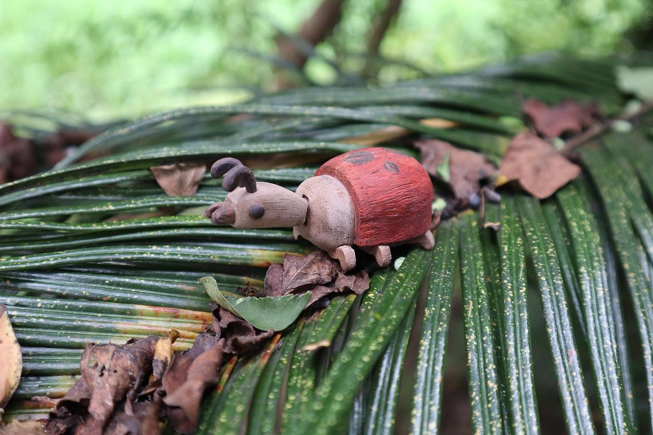 消失的昆虫们 Moil's handmade