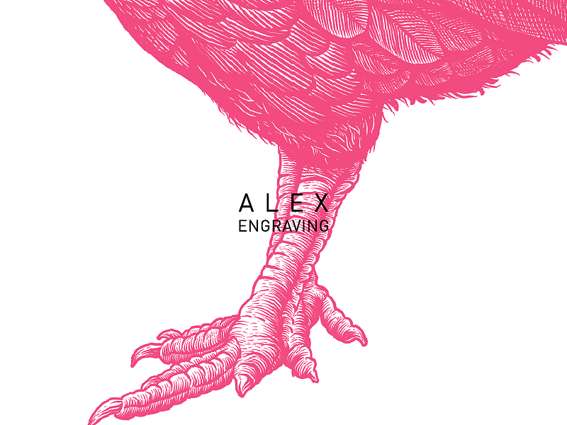 版画 - 鸡（图ZMTExNTQ2NDc2） - 商业插画 - 站酷设计师花椒的Alex原创素材 - 站酷ZCOOL