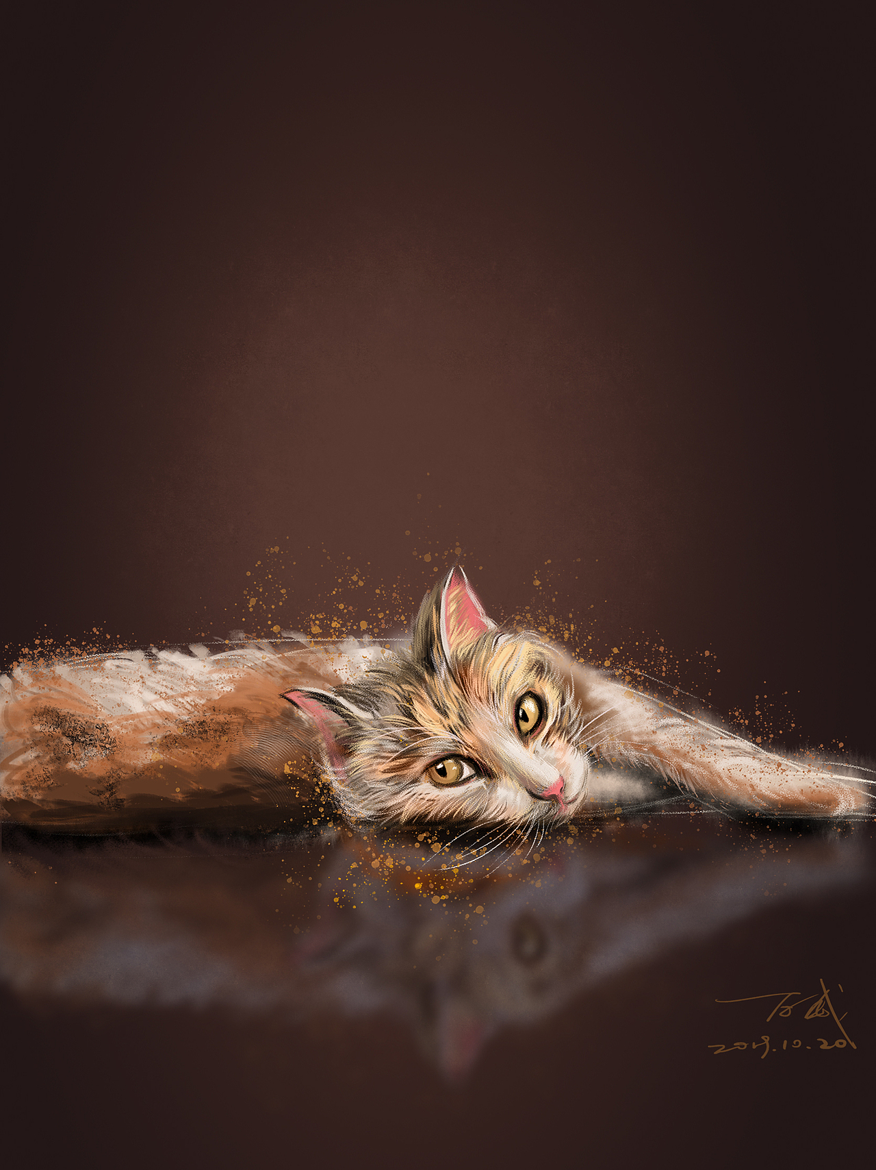 躺着的猫|插画|创作习作|百危_原创作品-站酷zcool