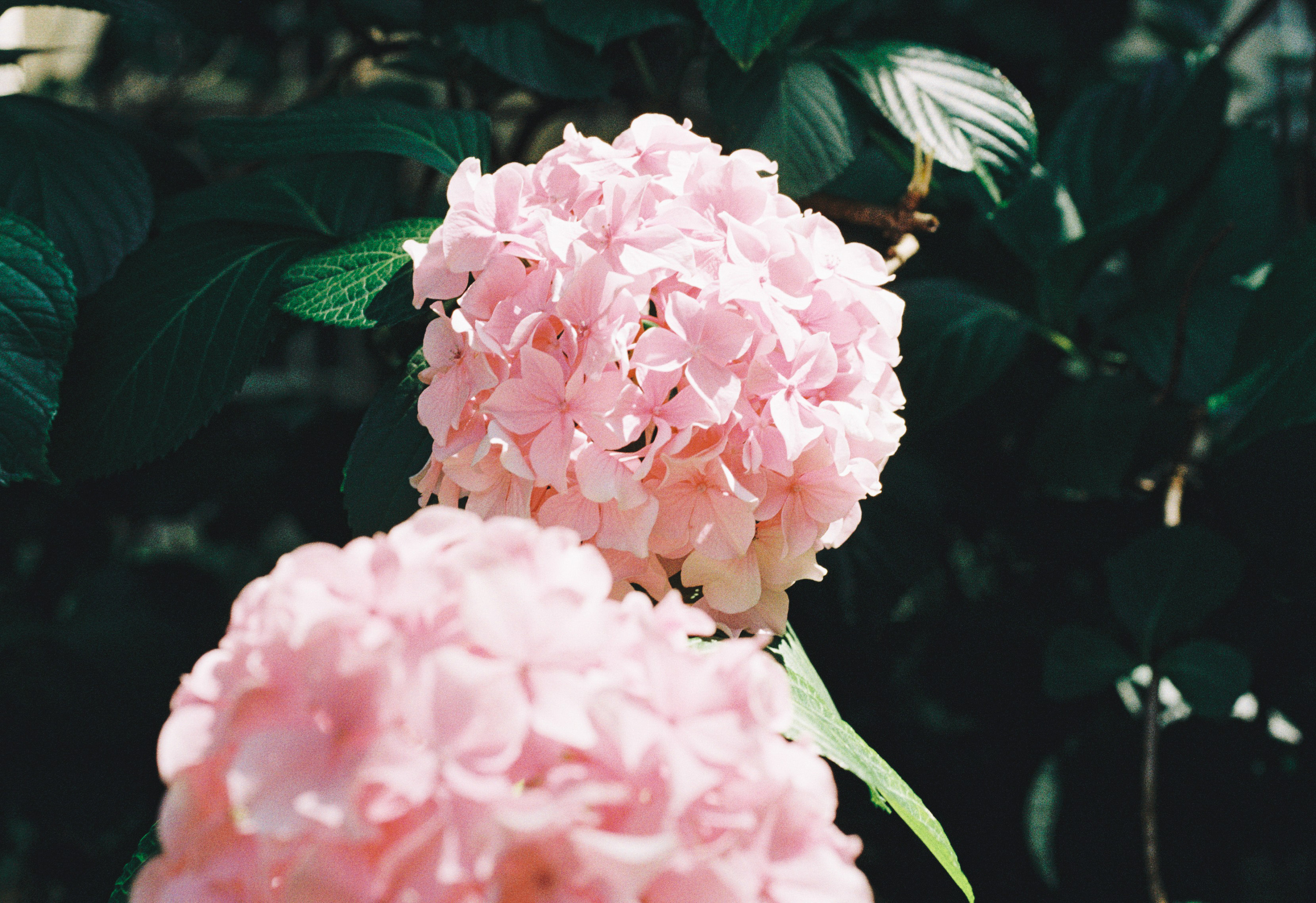 南方蟑螂人的個人主頁（封面預(yù)覽） - 主頁封面設(shè)置 - 站酷設(shè)計師南方蟑螂人原創(chuàng)素材 - 站酷ZCOOL