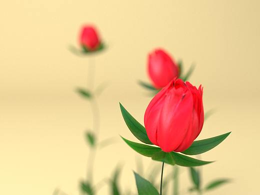 花（个人主页-ZNTM2MTc3MzY=） - 产品 - 站酷设计师ytmu原创素材 - 站酷ZCOOL