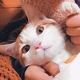 闪闪er的头像