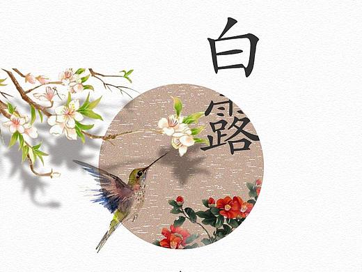 白露
