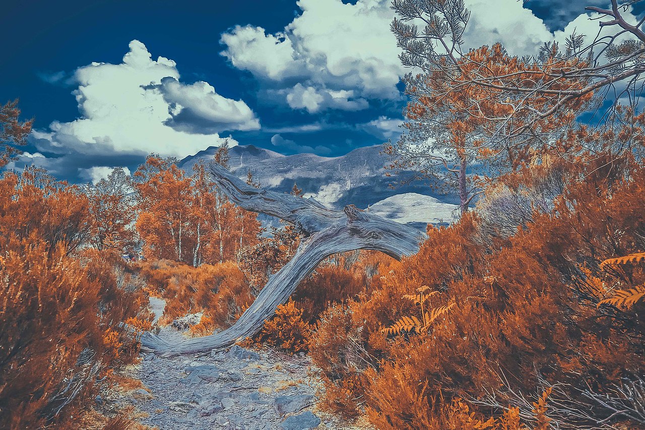 个人旅行杂志 | SCOTLAND