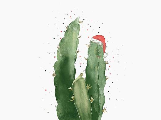 临慕的植物插画