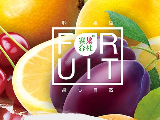 国内外一年四季热门水果介绍画册