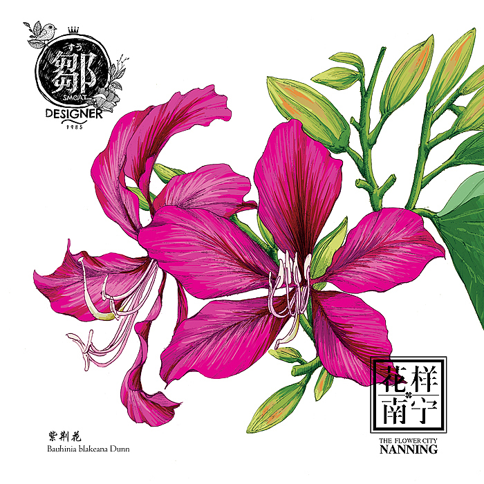 花卉插画及邮折设计（图ZNTE5MTE4Mjg=） - 商业插画 - 站酷设计师鄒慶原创素材 - 站酷ZCOOL