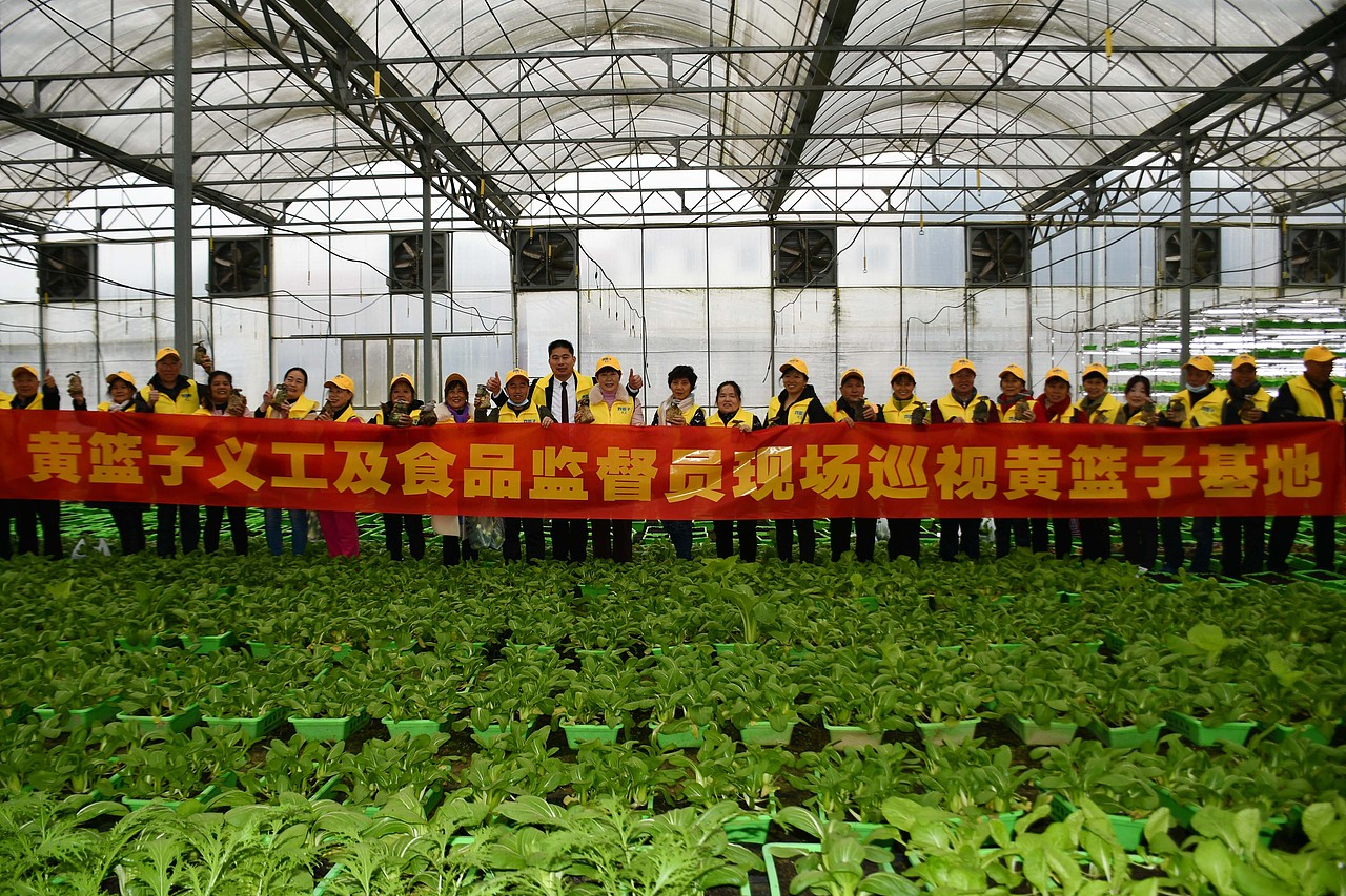 黄篮子生鲜连锁图片素材库 - 站酷图片网