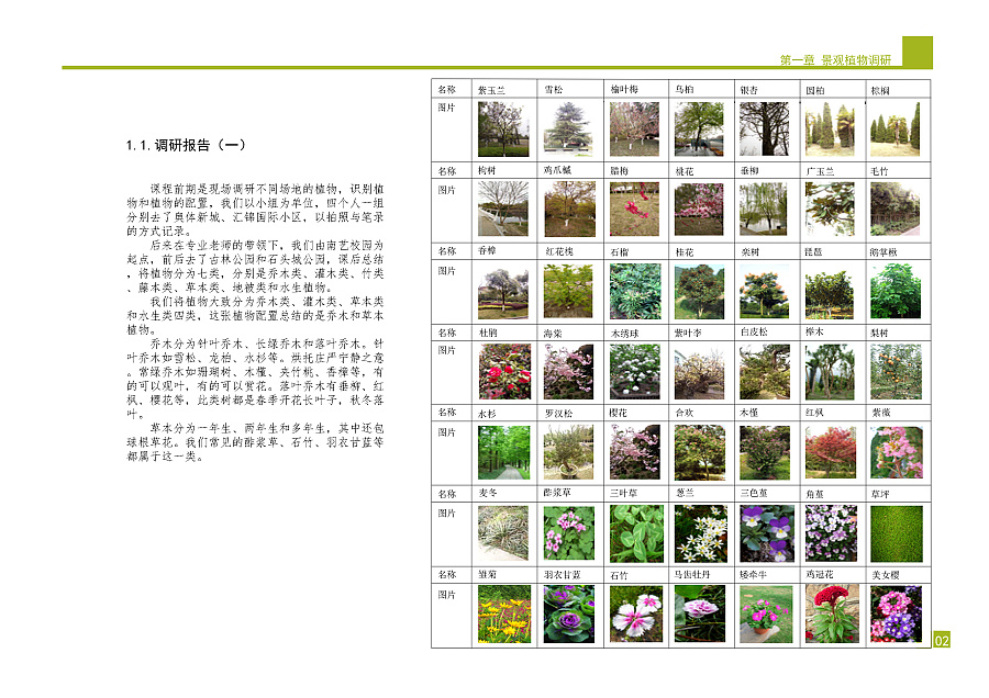 原创作品:庭院景观植物设计方案