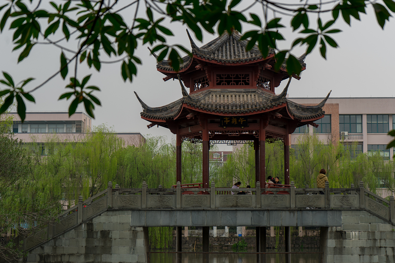 杭州南江公园郁金香（图ZMjQ4MTAwMDE2） - 风光摄影 - 站酷设计师达达达西瓜原创素材 - 站酷ZCOOL