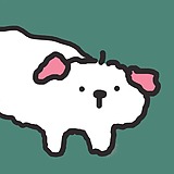 o白o的头像