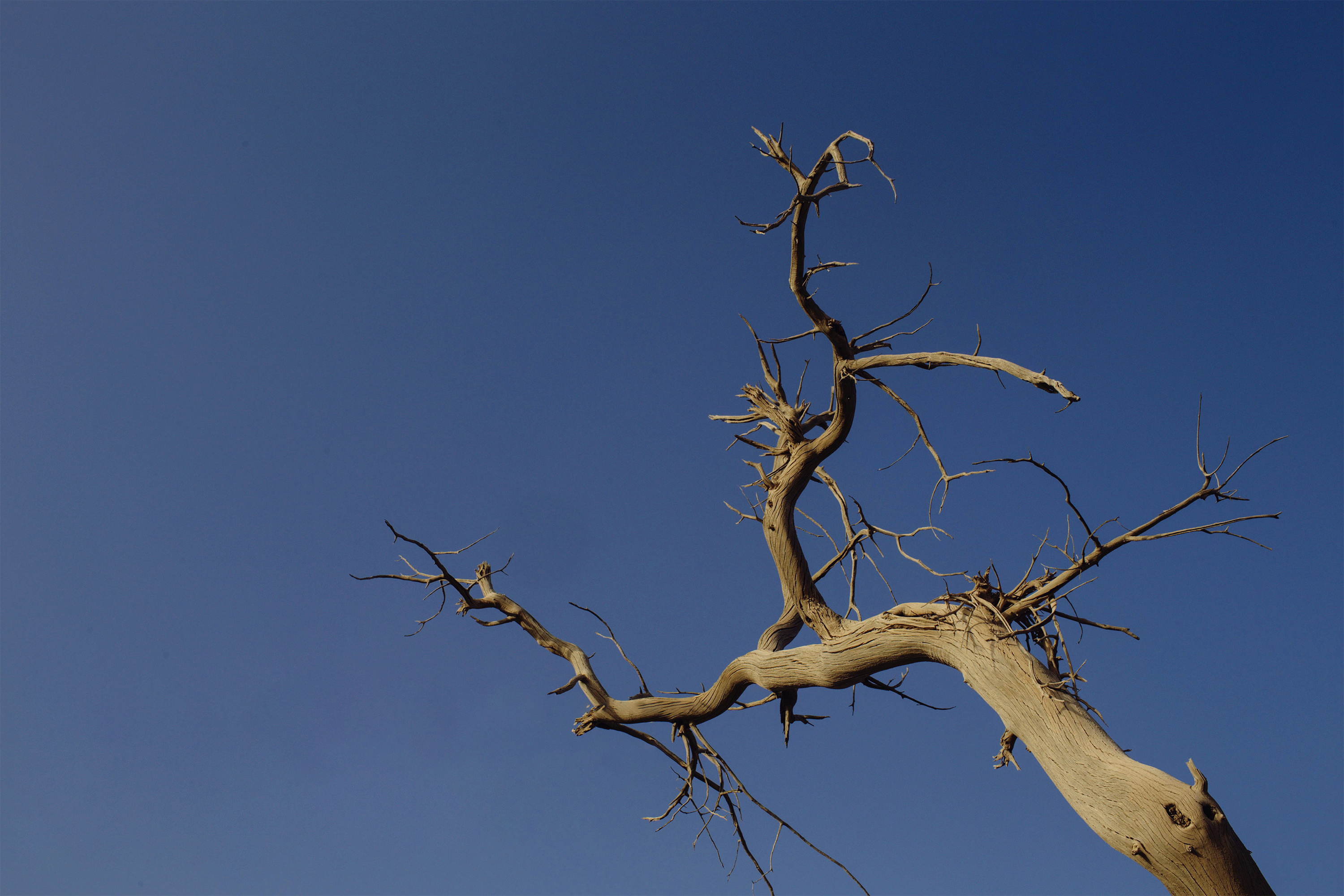 爱学习的Nycolas的个人主页（封面预览） - 主页封面设置 - 站酷设计师爱学习的Nycolas原创素材 - 站酷ZCOOL