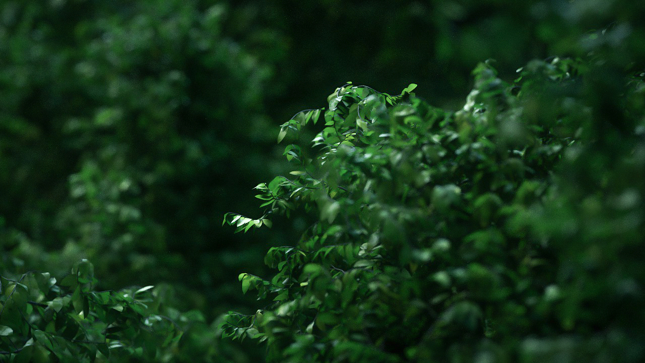 C4D材质练习（图ZMjIzNDQ4NDg0） - 其他平面 - 站酷设计师Chen丶Ken原创素材 - 站酷ZCOOL