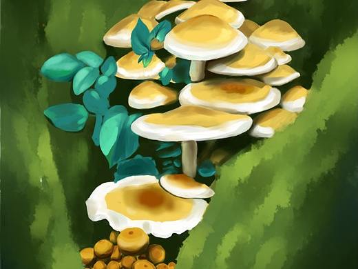 蘑菇（個(gè)人主頁-ZNDI4NTk3ODA=） - 創(chuàng)作習(xí)作 - 站酷設(shè)計(jì)師烏琪爾沐原創(chuàng)素材 - 站酷ZCOOL