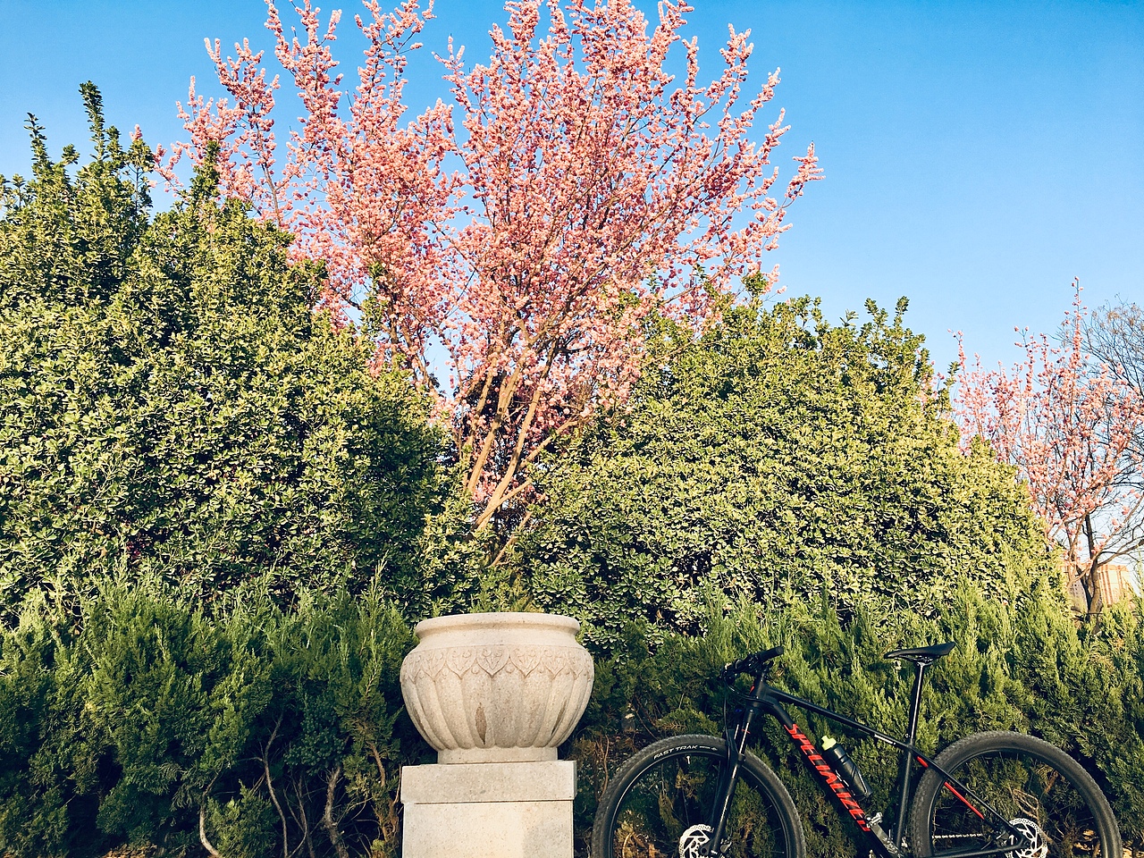 单车🚴/春季🍀（图ZMTUyMjg1NzA0） - 人文/纪实摄影 - 站酷设计师仙人掌男孩原创素材 - 站酷ZCOOL
