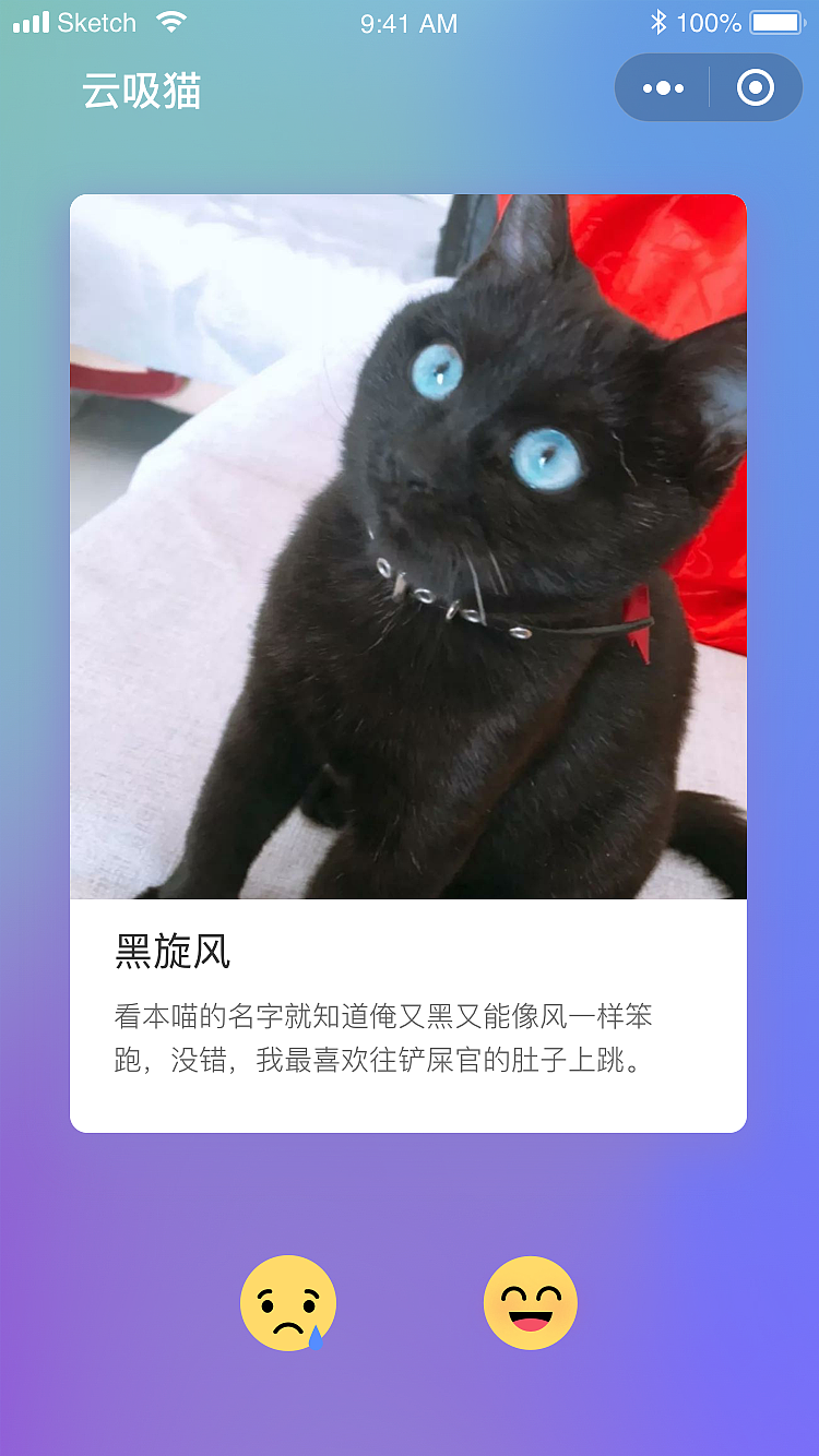 云吸猫小程序（图ZMTUyNTc5NjQ4） - APP界面 - 站酷设计师高Loki原创素材 - 站酷ZCOOL