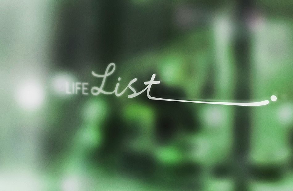 化妆品牌和包装设计