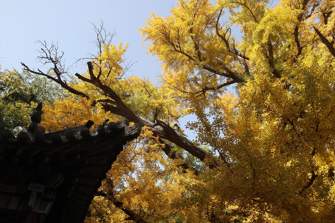 《眼前便是最好》（图ZMzA5MjA0Njg0） - 其他摄影 - 站酷设计师简浩原创素材 - 站酷ZCOOL