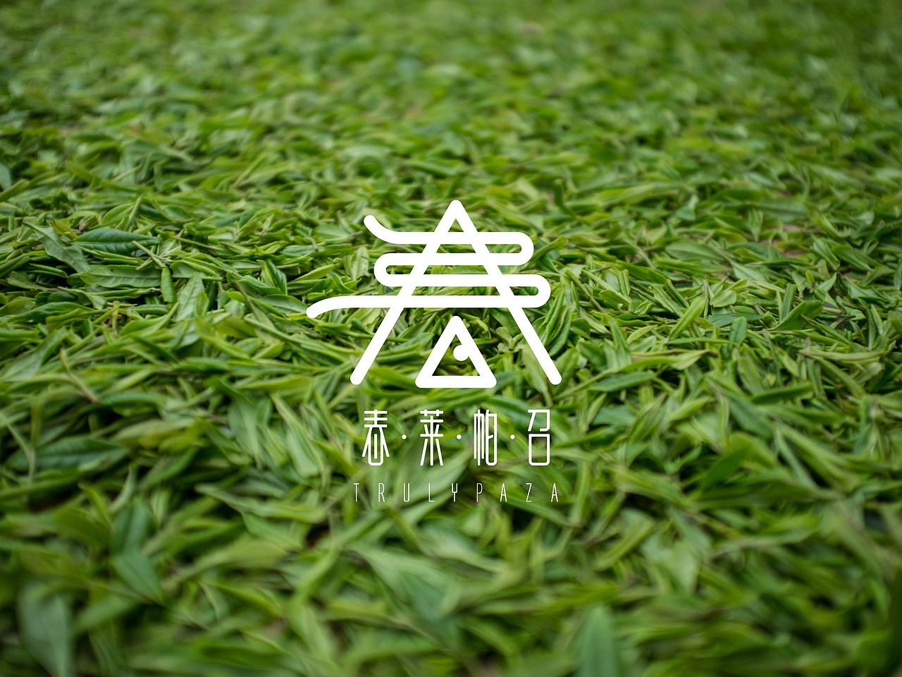 TRULYPAZA（图ZMzQ2MTE5MjQ=） - Logo - 站酷设计师不是两只猪原创素材 - 站酷ZCOOL