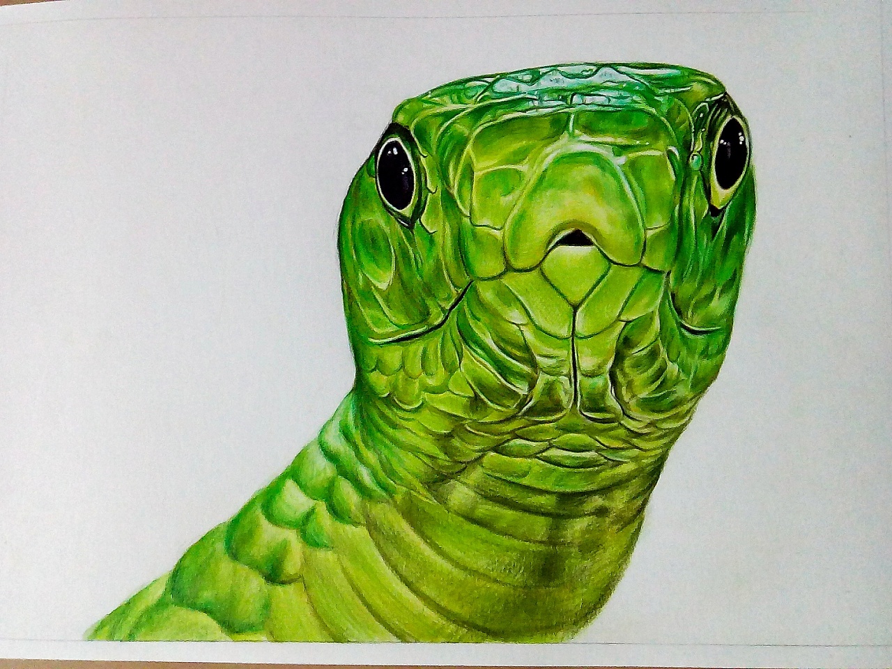 青蛇|纯艺术|彩铅|滴水和涟漪 - 原创作品 - 站酷 (zcool)