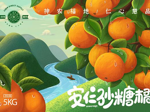 安仁沙糖桔插画包装