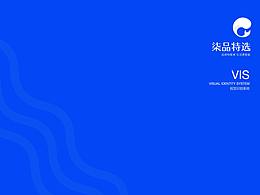 公司vis线下应用部分