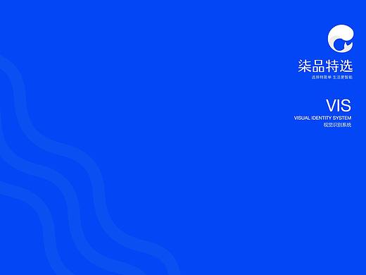 公司vis线下应用部分