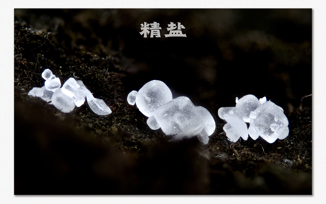 一组视觉冲击，超微堆叠片（图ZNDc4MDQxODg=） - 风光摄影 - 站酷设计师瓜哥微距摄影原创素材 - 站酷ZCOOL