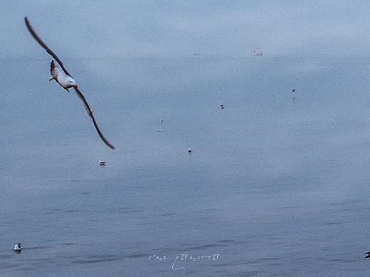 有一片海，水雾唱着晚诗（个人主页-ZMzUwMjU1MDg=） - 风光摄影 - 站酷设计师万晓缇原创素材 - 站酷ZCOOL