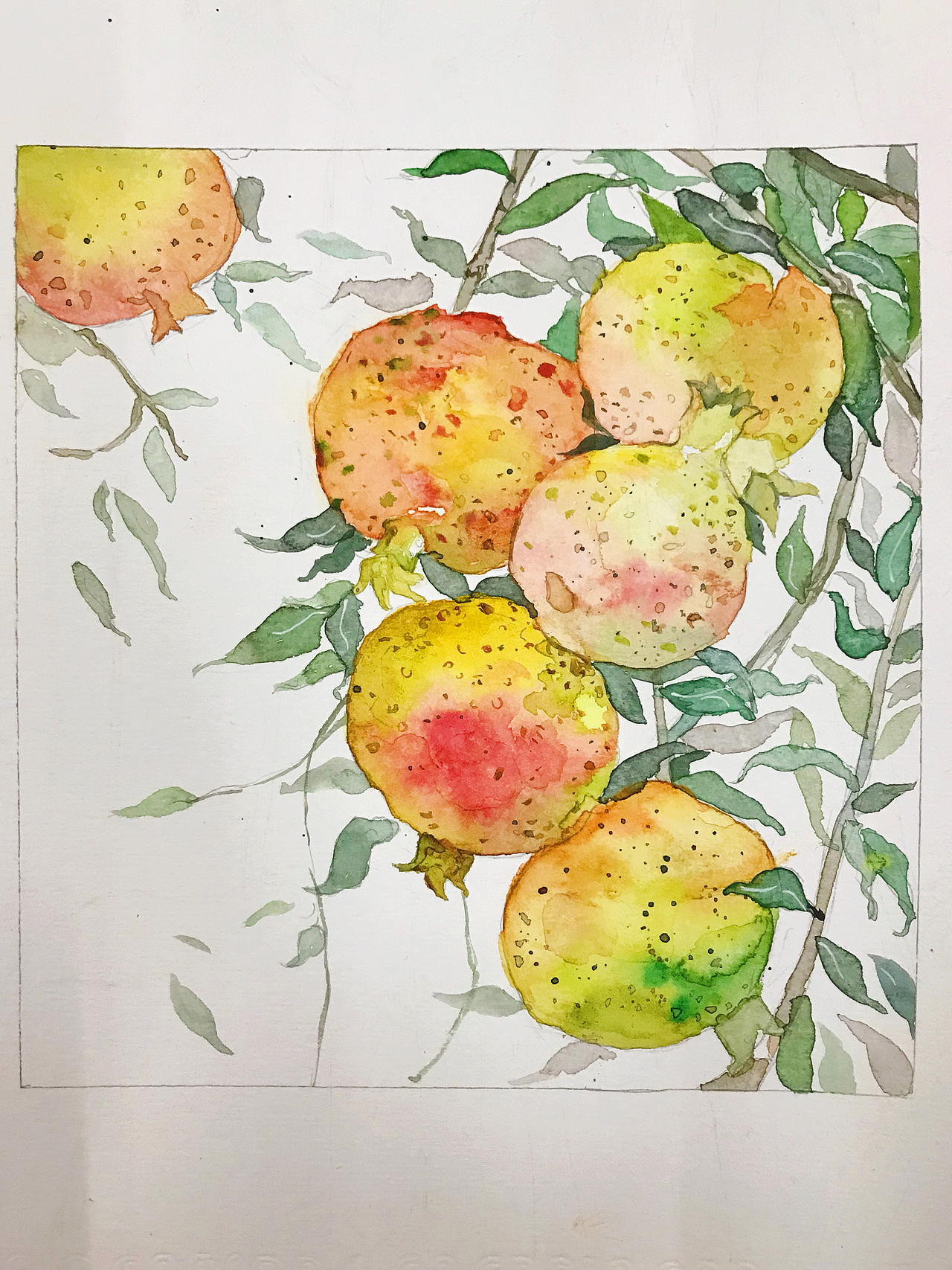 水彩练习（图ZMjA0Mjk5NTQw） - 艺术插画 - 站酷设计师LIZHIYA原创素材 - 站酷ZCOOL