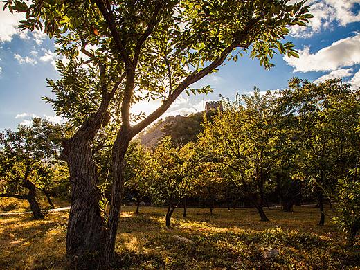 明代板栗园——北京怀柔黄花城水长城