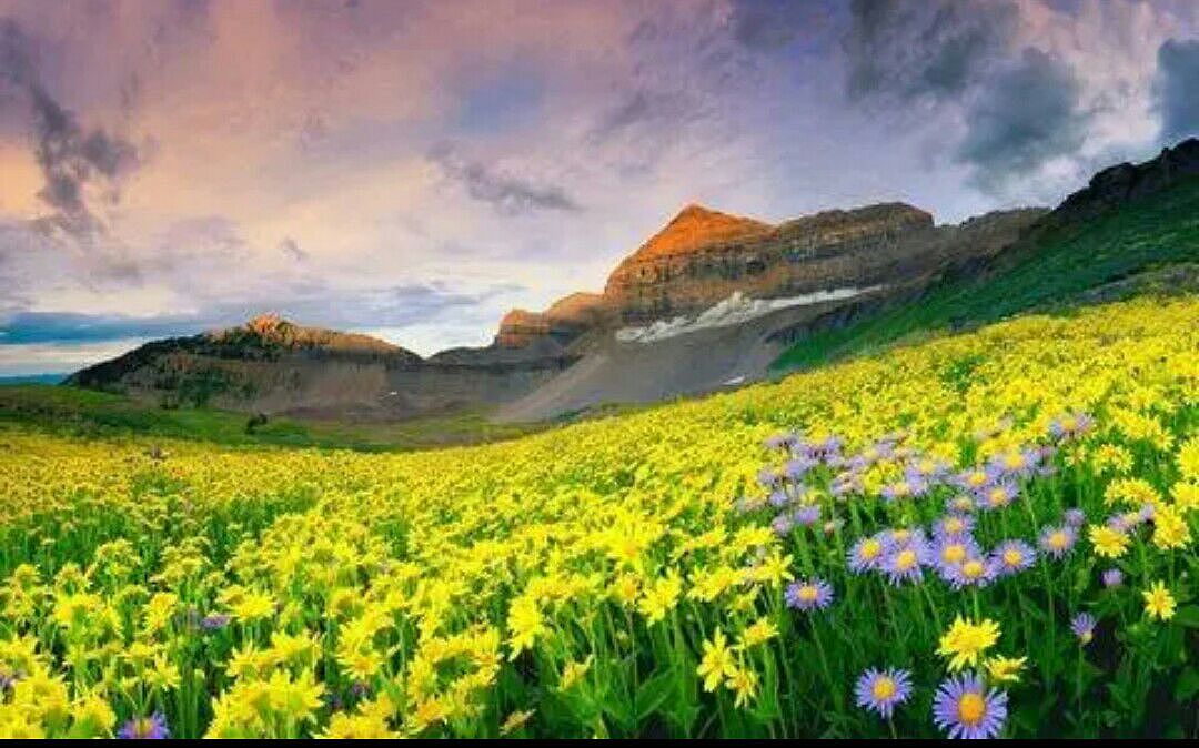 你们不觉得当一天你们喜欢上了一个地方你会一直想去吗