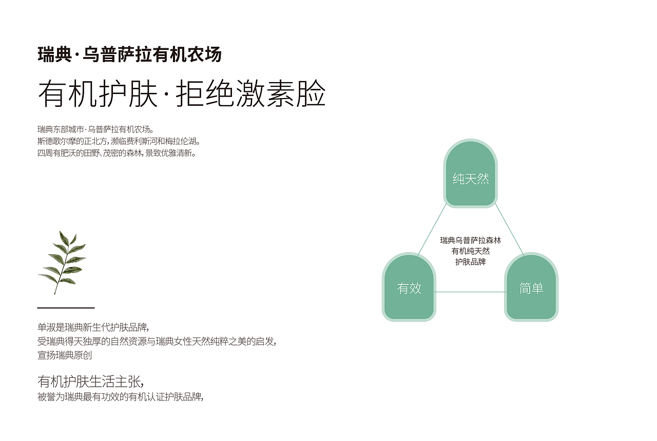 丹淑品牌设计