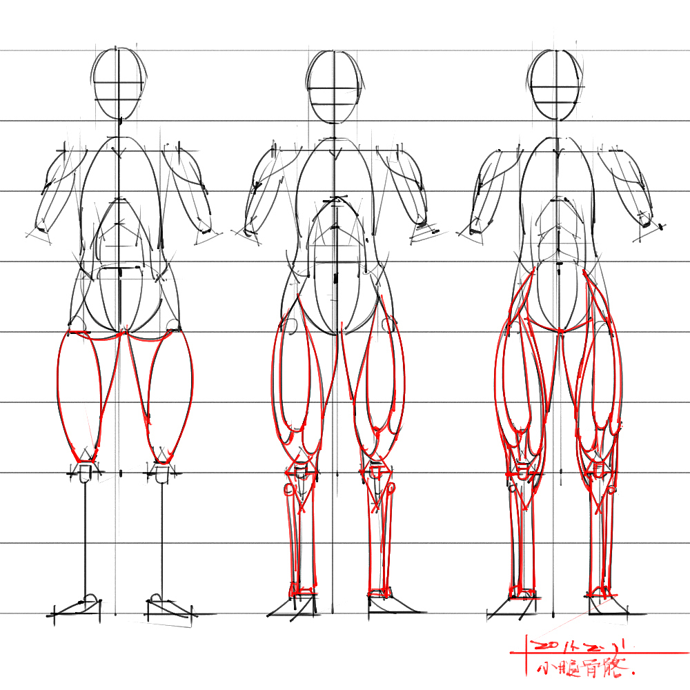 「素材」分享一波绘画专用人体解剖素材 part 04