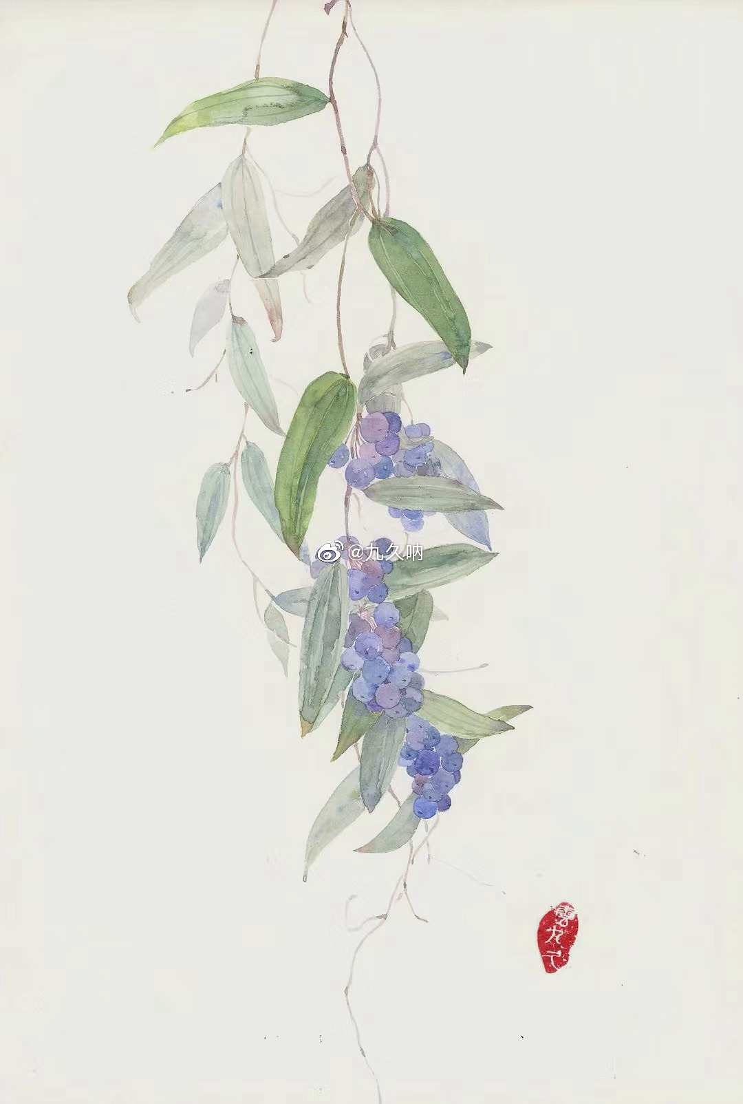 水彩花卉（图ZMTk5MTkzMjI0） - 艺术插画 - 站酷设计师幻想气泡水原创素材 - 站酷ZCOOL