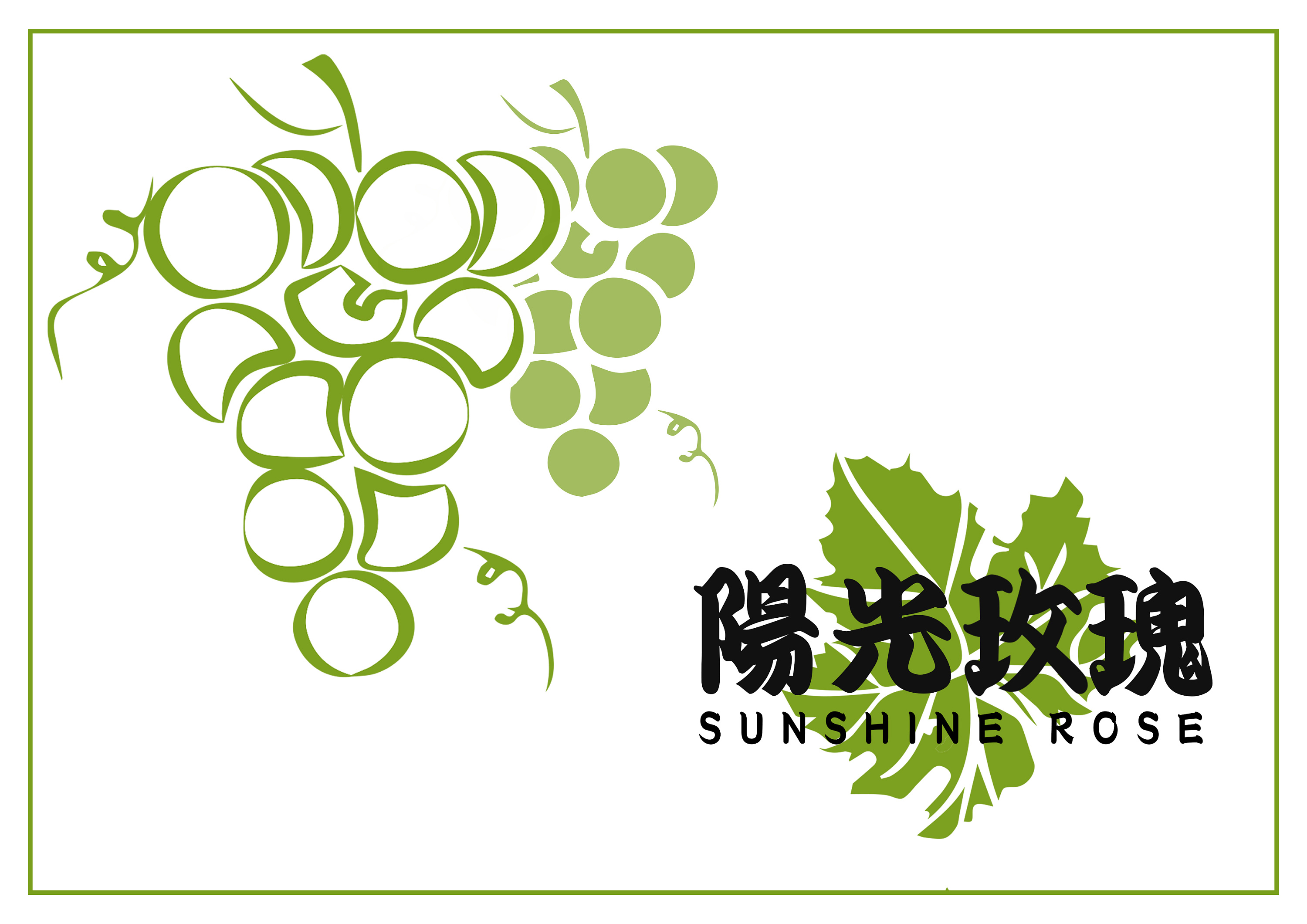 一组关于葡萄的日式礼盒包装