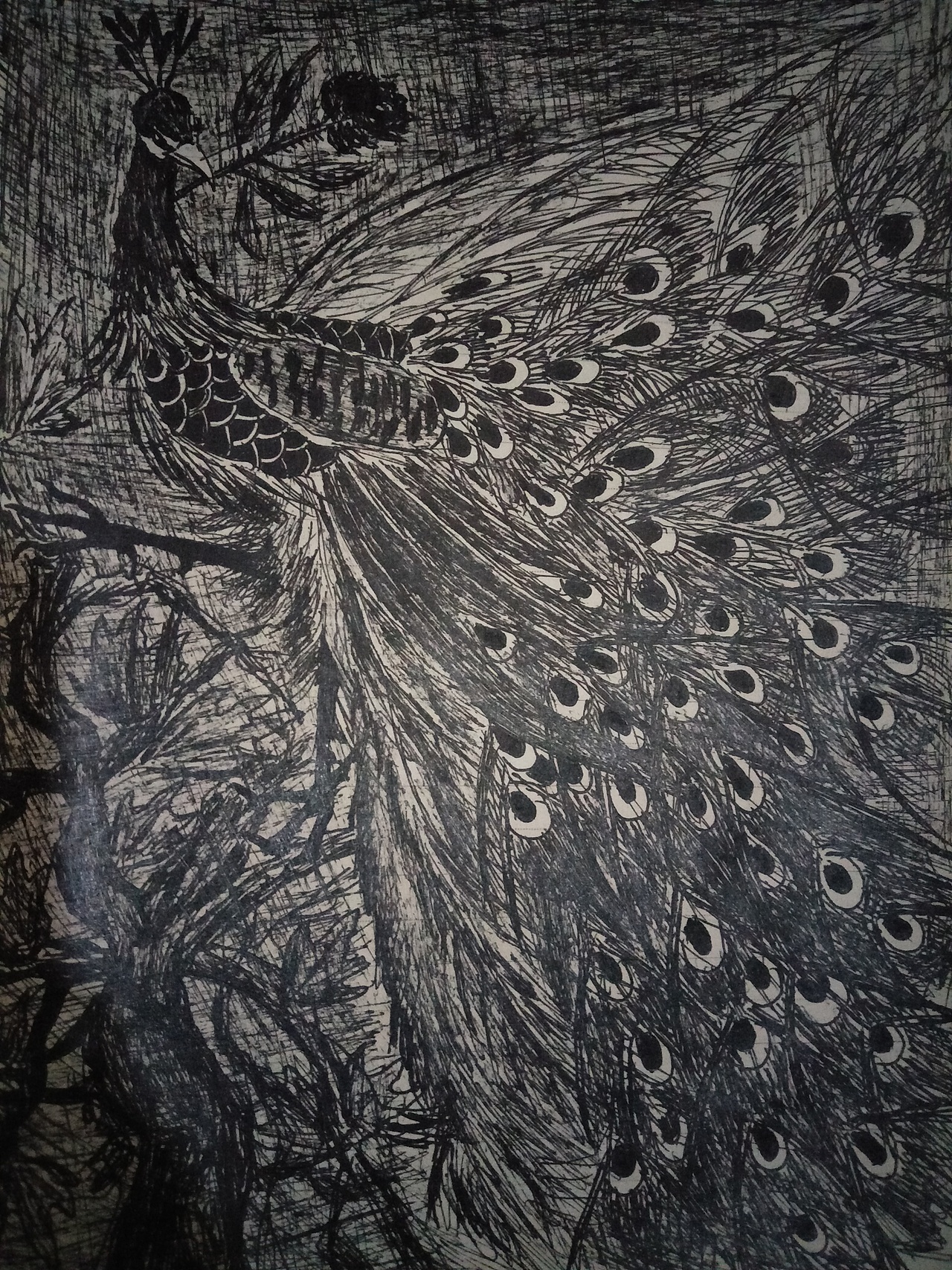 中性筆素描寫意(非專業(yè))（圖ZMjAwODAxNzM2） - 繪畫 - 站酷設(shè)計師龍紋大將原創(chuàng)素材 - 站酷ZCOOL