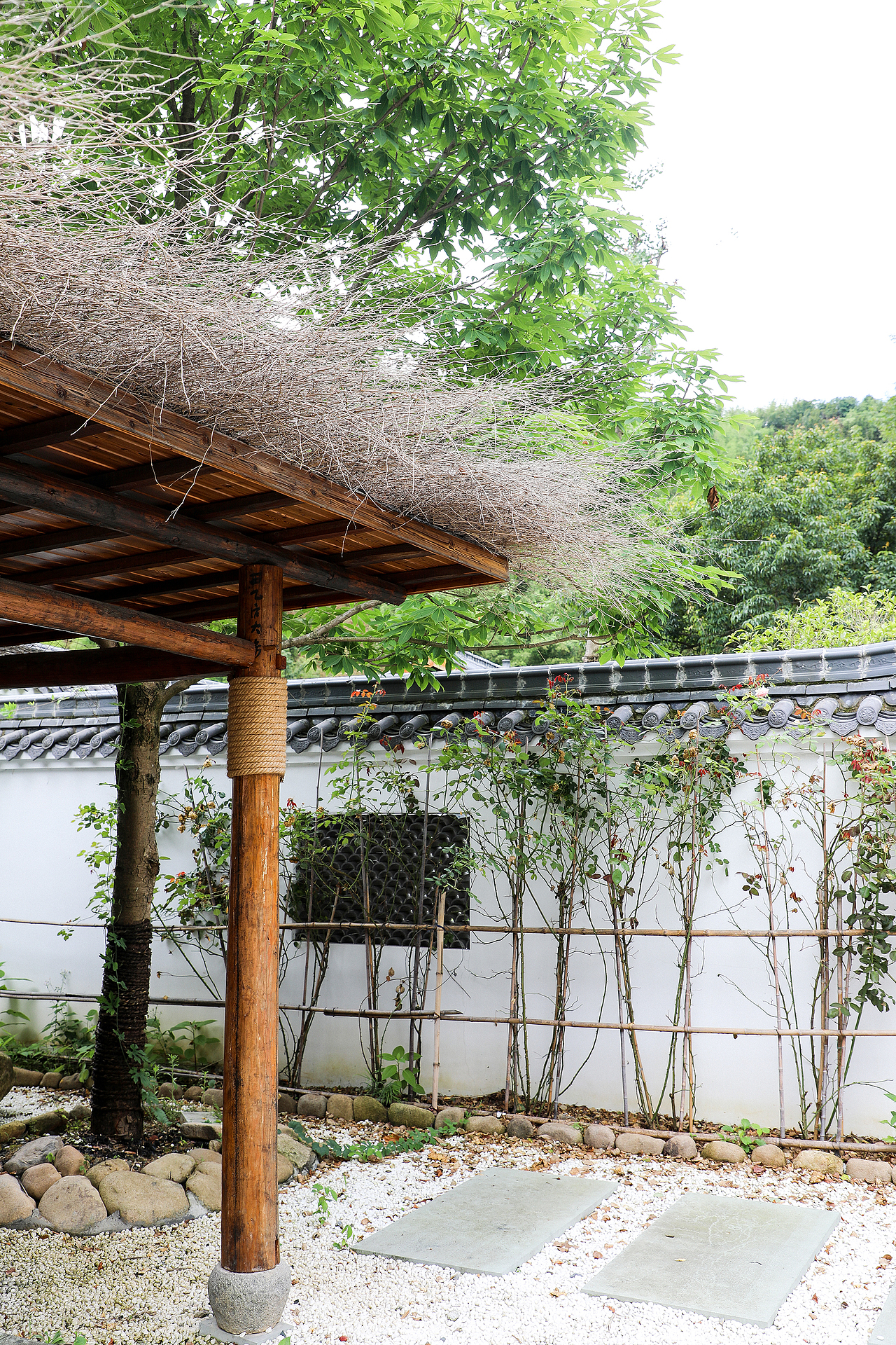 民宿—静谧小院（图ZMTY3NDEwMzcy） - 风光摄影 - 站酷设计师饭汤水原创素材 - 站酷ZCOOL