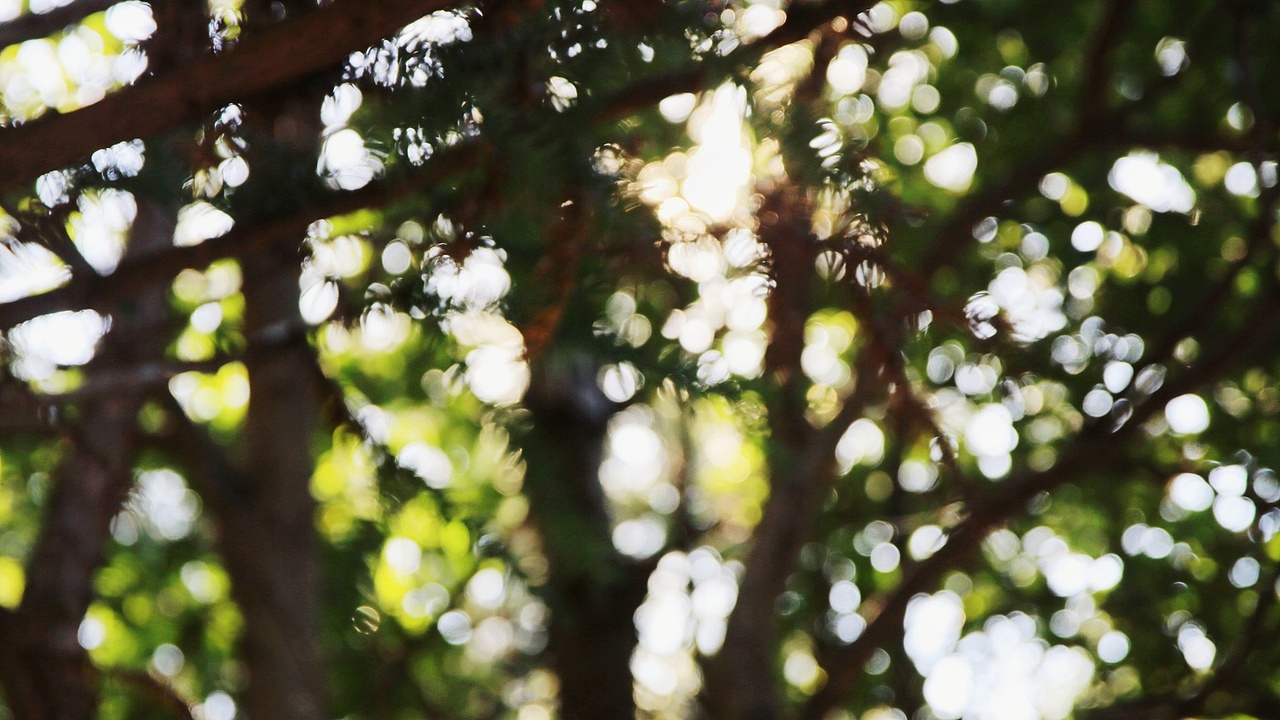 仙居·景星岩·遇雪（图ZMTA0Njk1MDY0） - 风光摄影 - 站酷设计师毛球Jiang原创素材 - 站酷ZCOOL