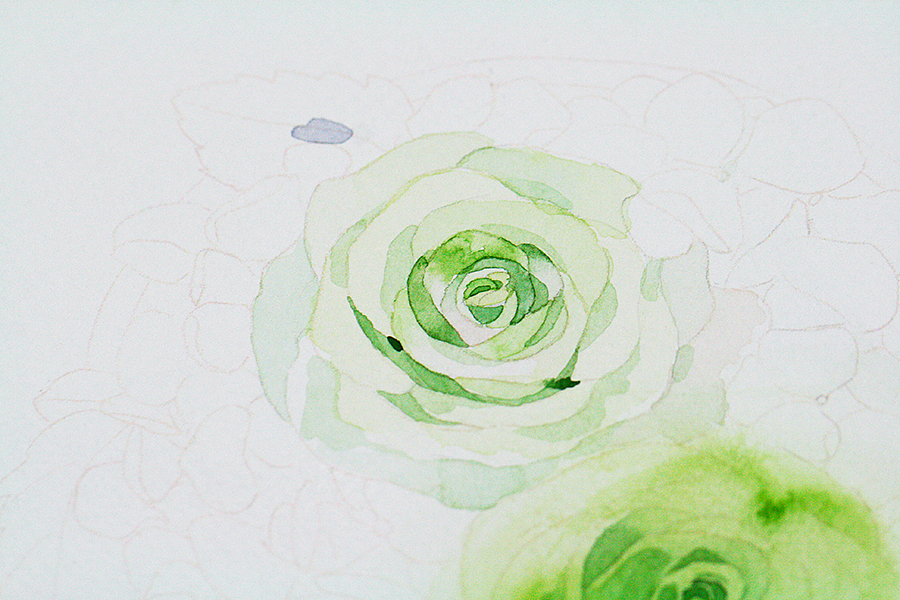 一组水彩花花（图ZMTAyMzQxNjg0） - 商业插画 - 站酷设计师Mrs_Candy田原创素材 - 站酷ZCOOL